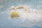 La Waterpolo ad un passo dalla Serie B