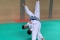 Centro Judo Novara: Mattia Di Giorgio vola agli Italiani A2